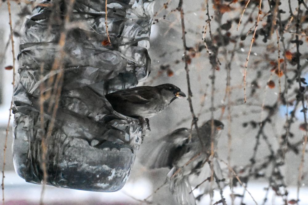 Photograph by Анастасия Белоусова