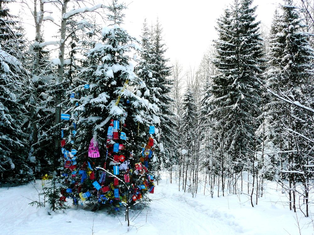 Photograph by Александр Бастраков