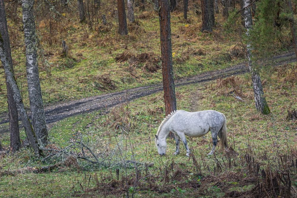 Photograph by Александр Перегоненко
