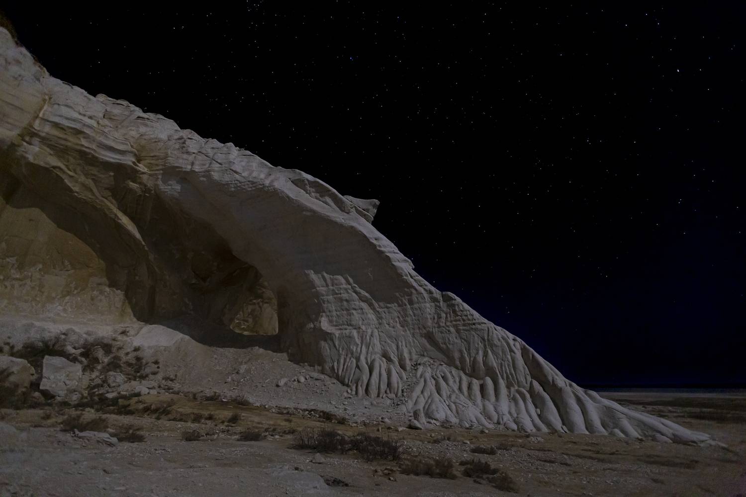 Голова лошади при лунном свете