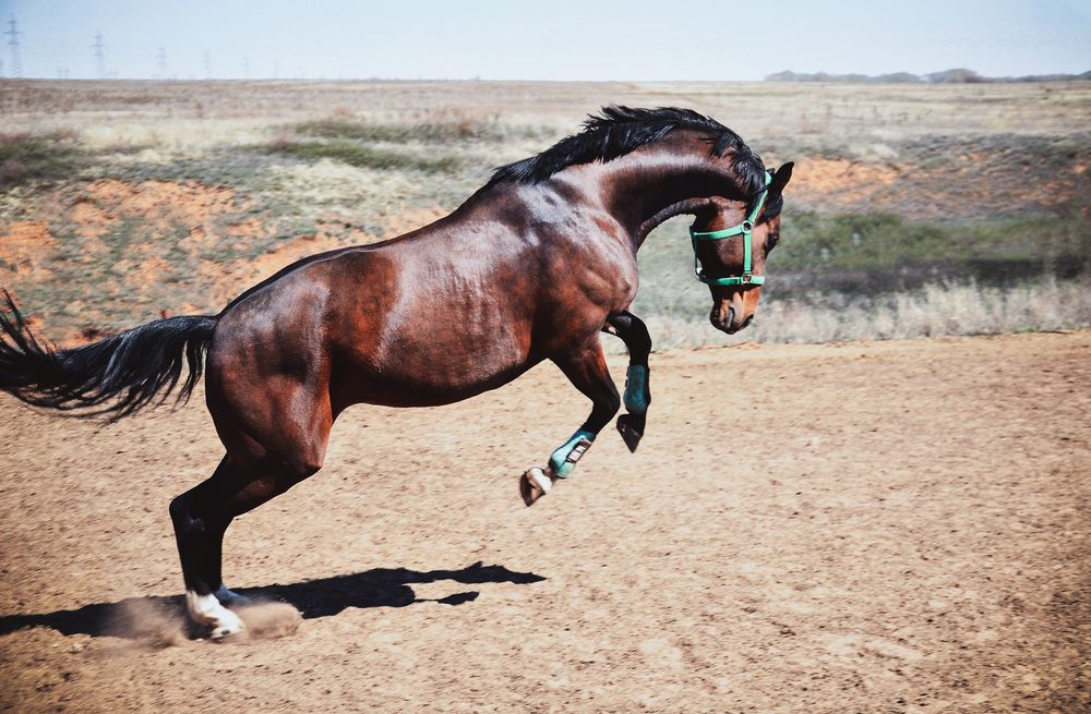 Фотография автора Ирина Ненашева