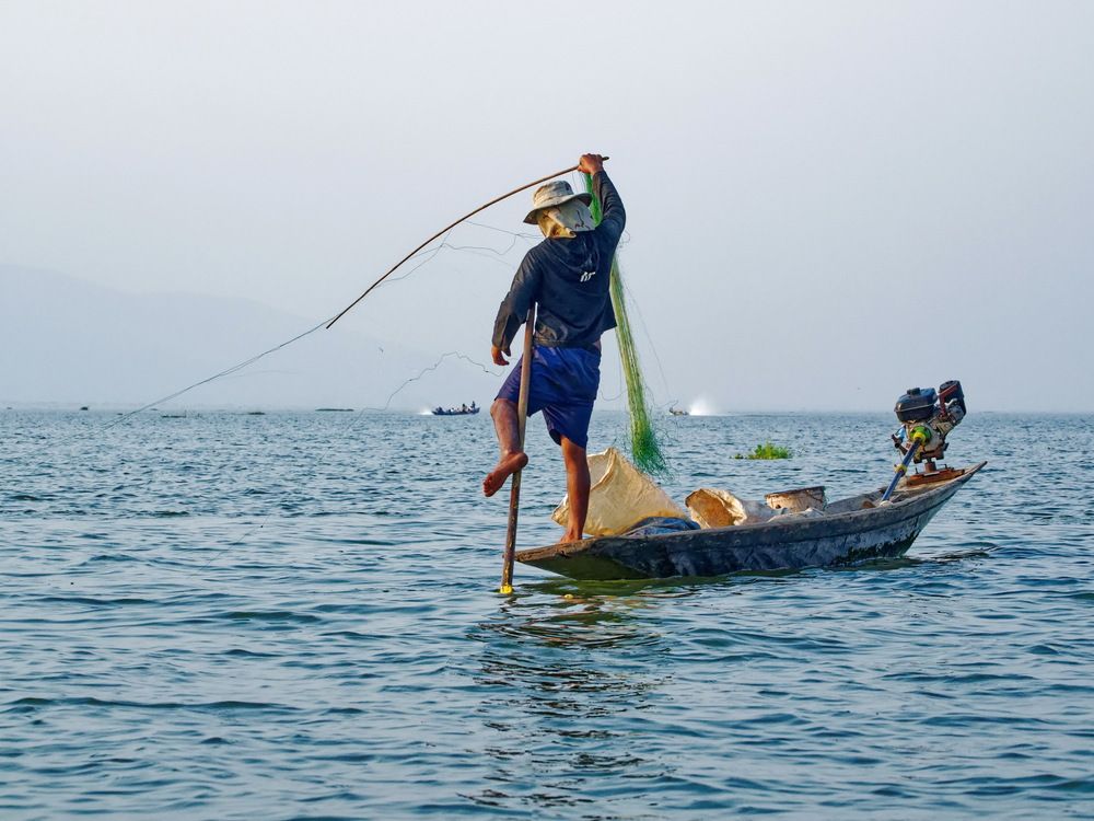 Фотография автора Андрей Панин