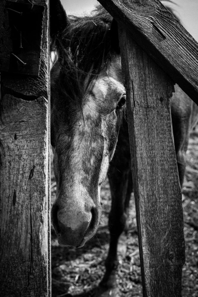 Фотография автора Наталья