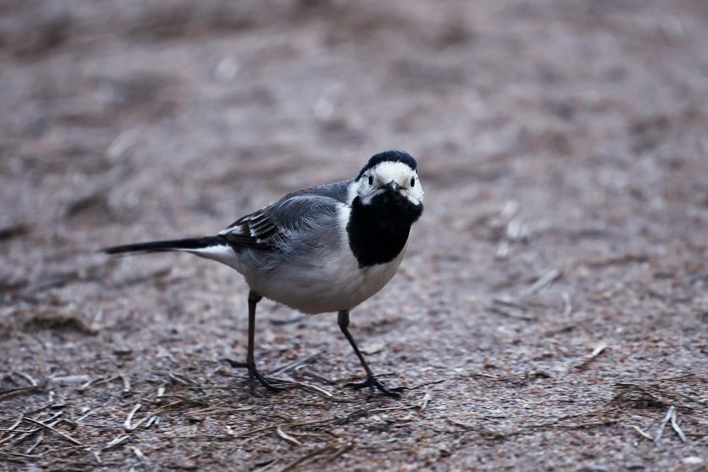 Photograph by Яна Егорова
