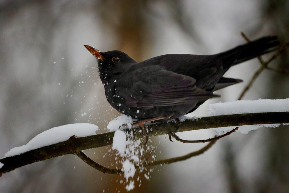 Photograph by Яна Егорова