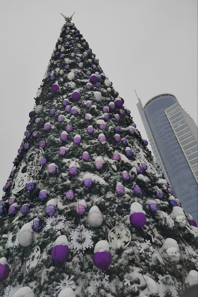 Фотография автора Елена