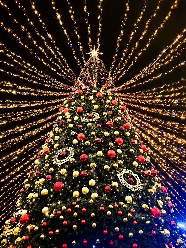 Фотография автора Елена