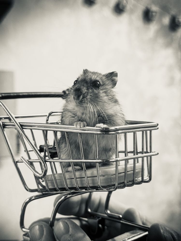 Photograph by Потапова Анна