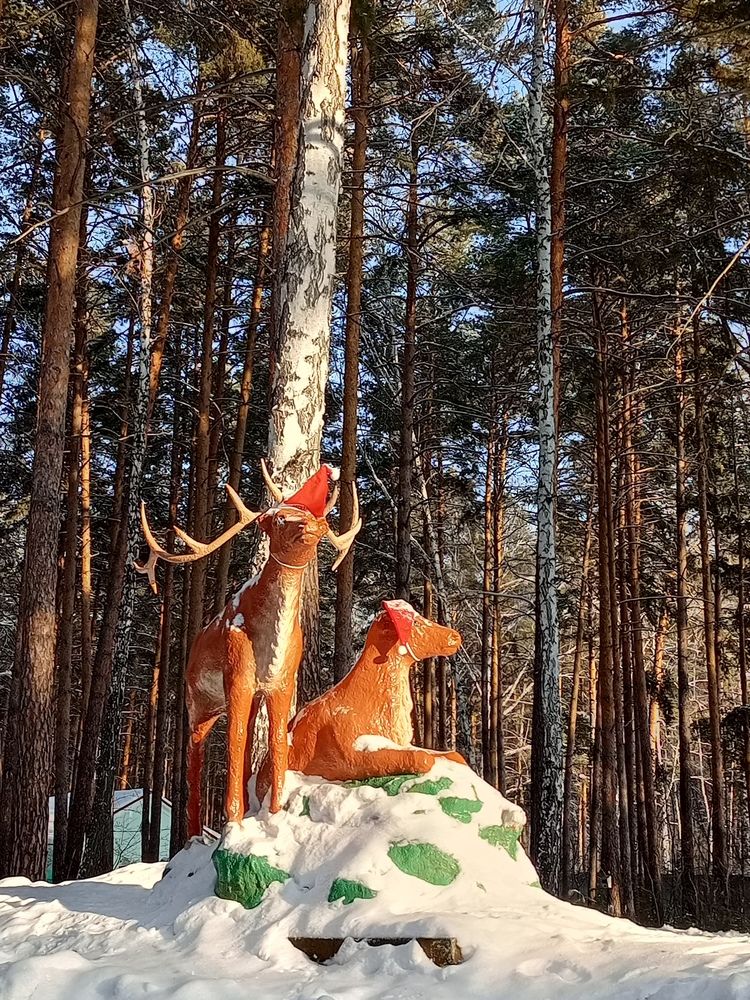 Photograph by Наталья Сырых