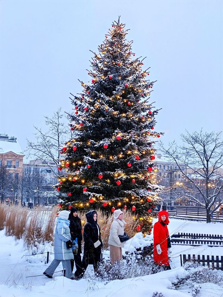Photograph by Пальшенцева Анна