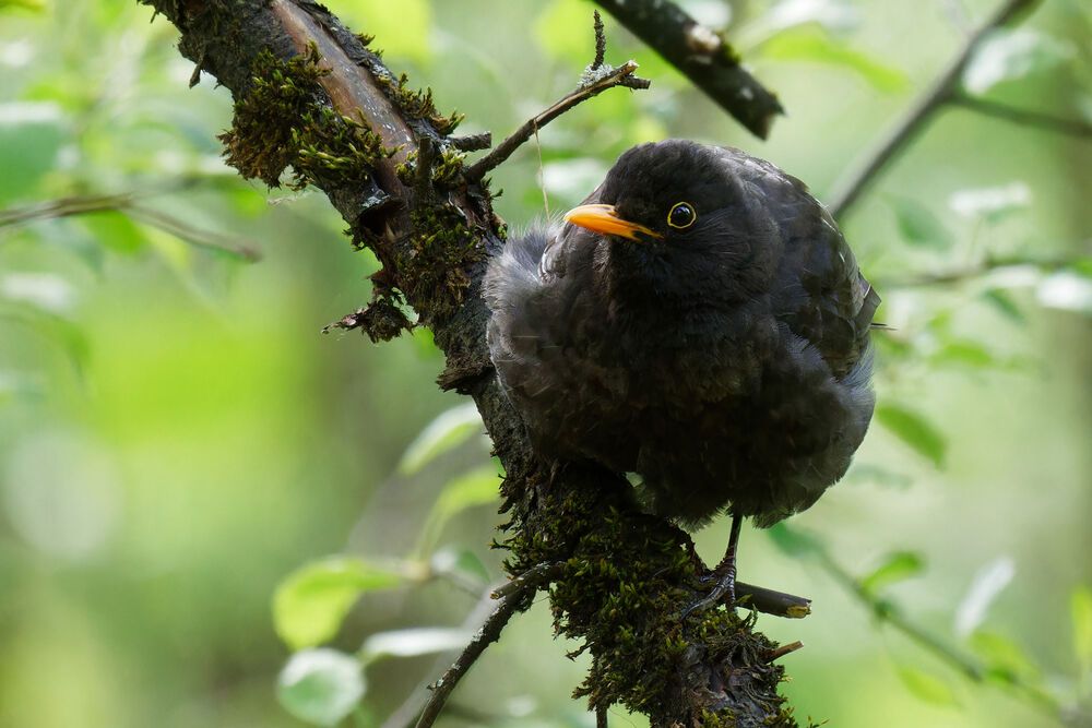 Photograph by Сергей Фомченков