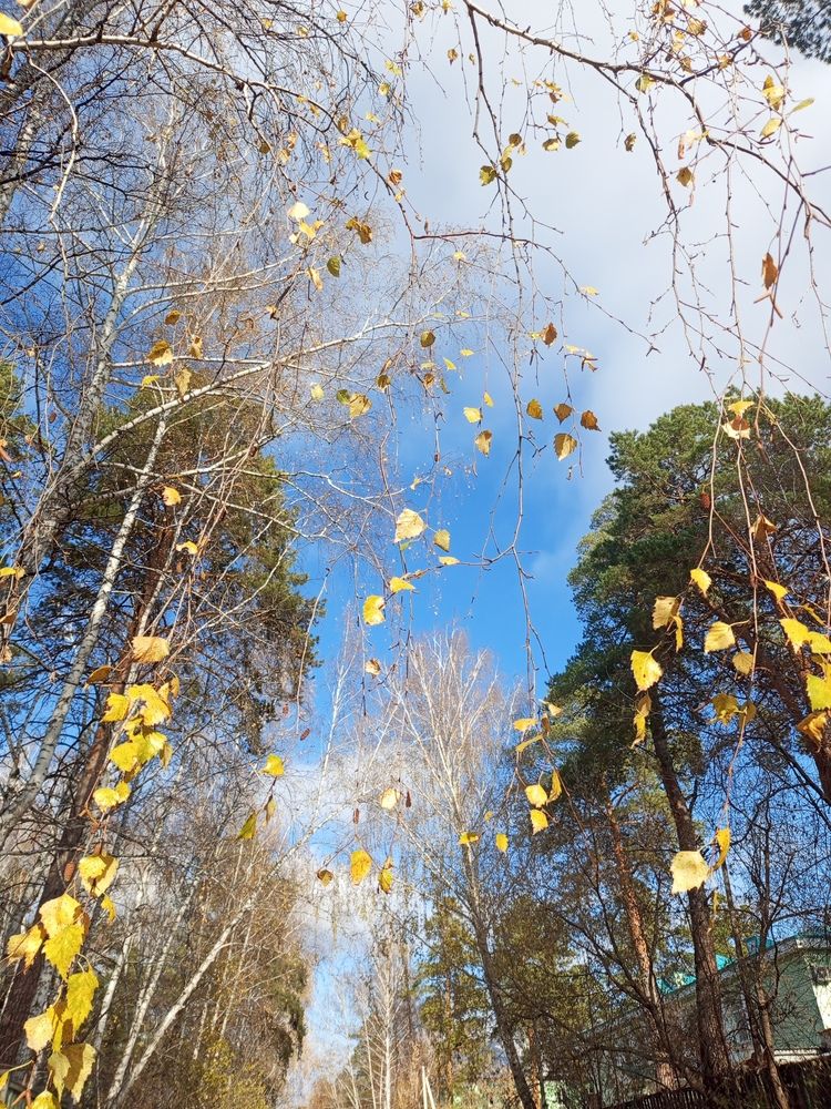 Photograph by Наталья Сырых