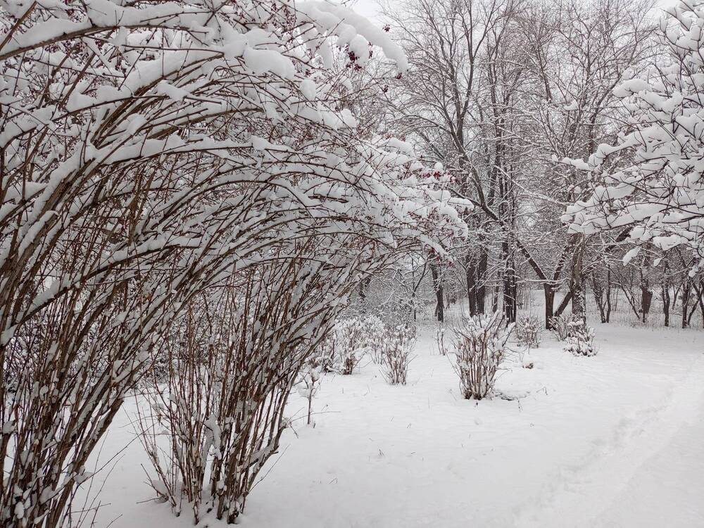 Photograph by Наталья Сырых