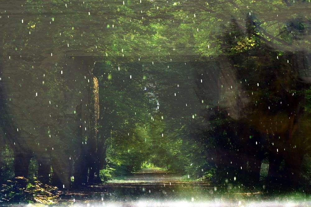 Фотография автора Eimar Kull