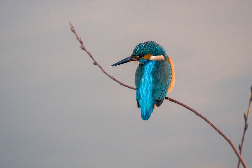 Photograph by Барашкова Екатерина