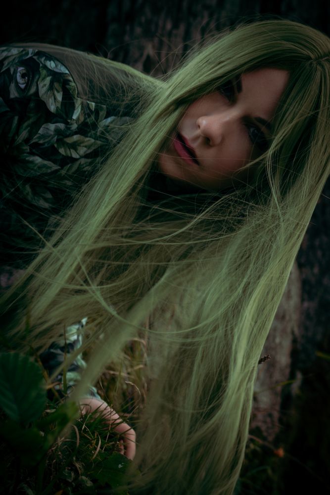 forest nymph