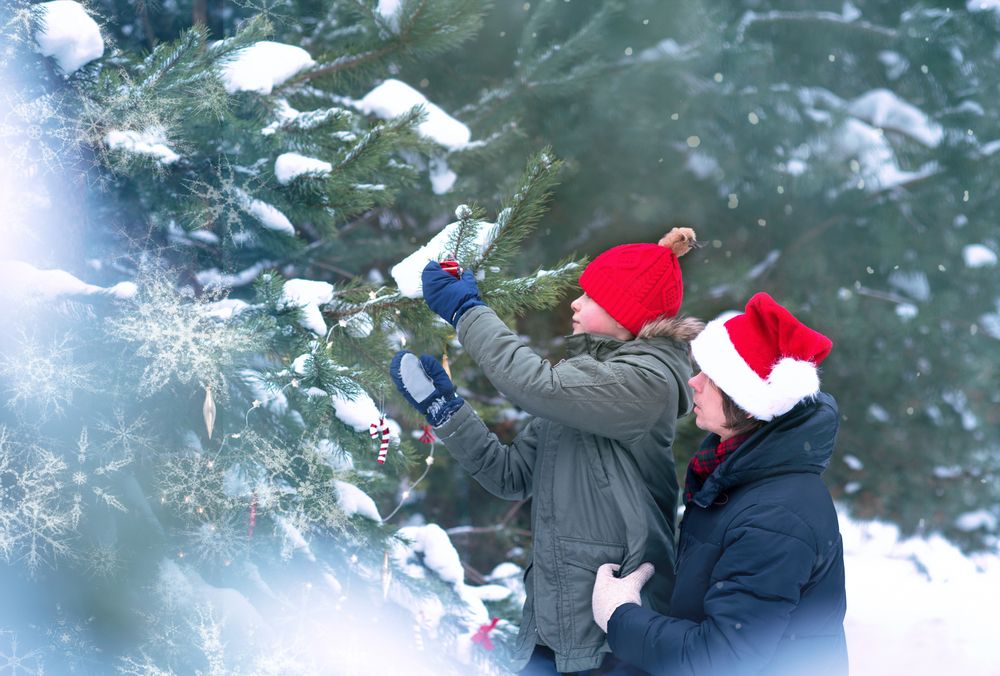 Photograph by Наталья Сергеева