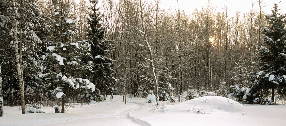 Photograph by Надежда