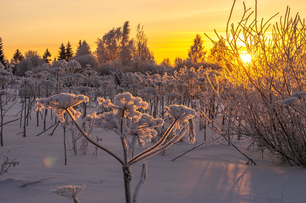 Photograph by Gennadiy Slezkin