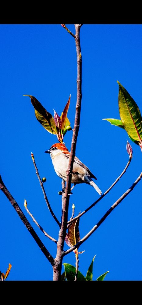 Photograph by Neelimaa Ripote