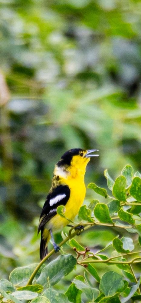 Photograph by Neelimaa Ripote