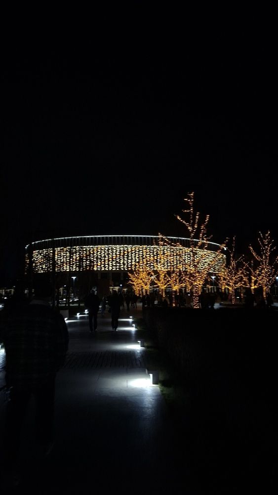 Фотография автора Margarita Teterkina