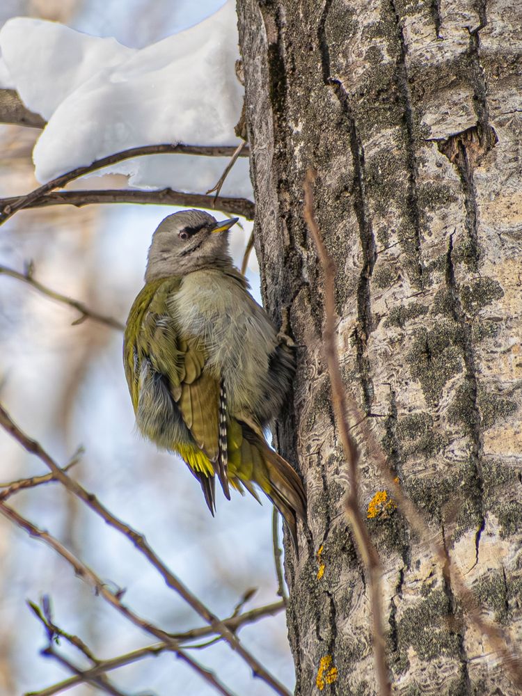 Фотография автора Николай Абакумов