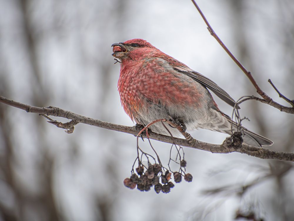 Фотография автора Николай Абакумов