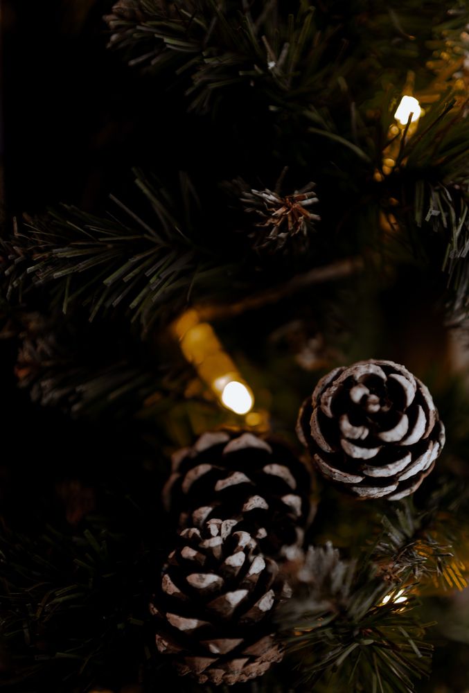 Photograph by Герман Крупенин