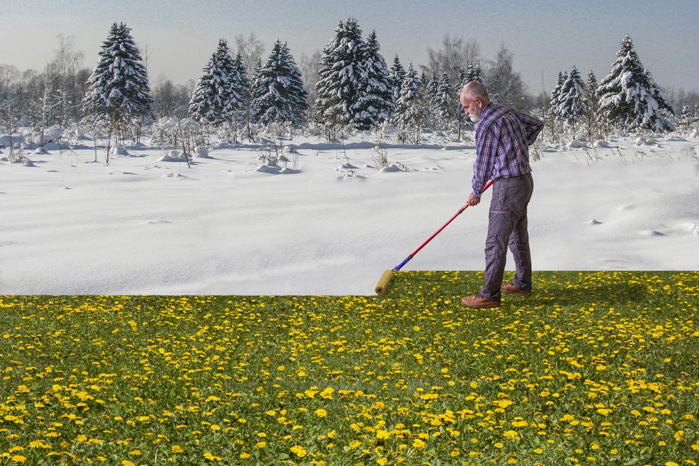 Photograph by Юрий Баженов