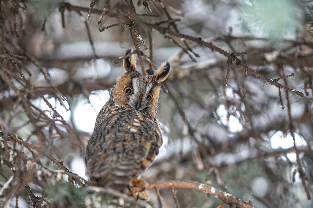 Photograph by Лупина Михаил