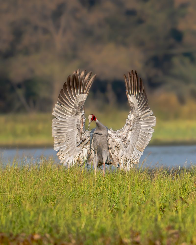 Photograph by Syed Adnan Zafar