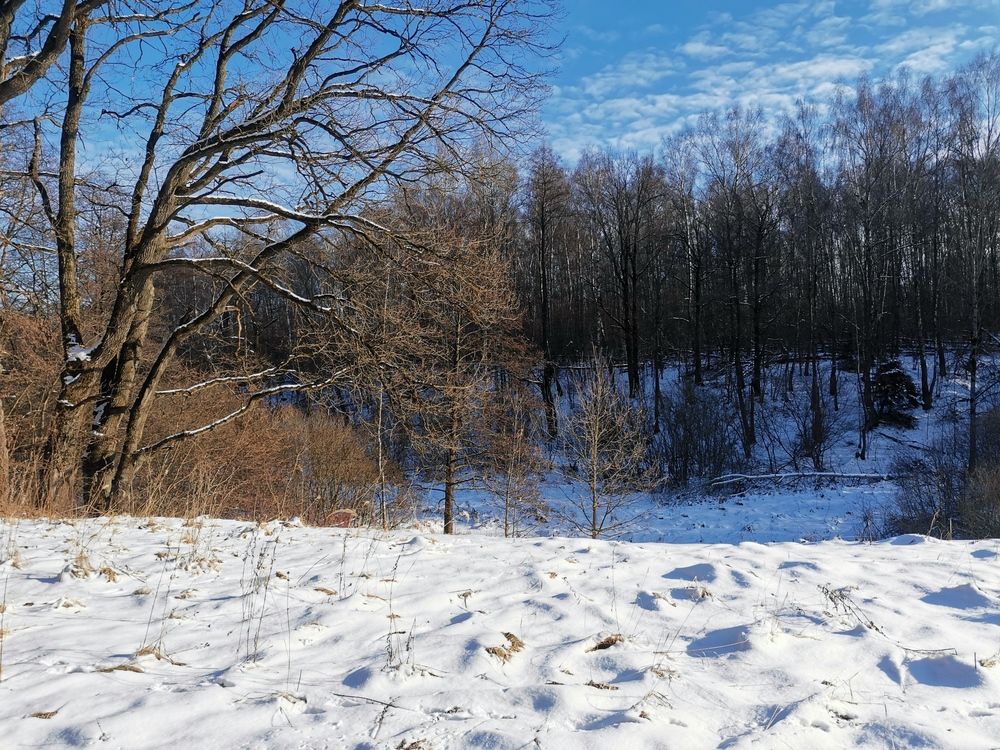 Фотография автора Ольга Давыдова