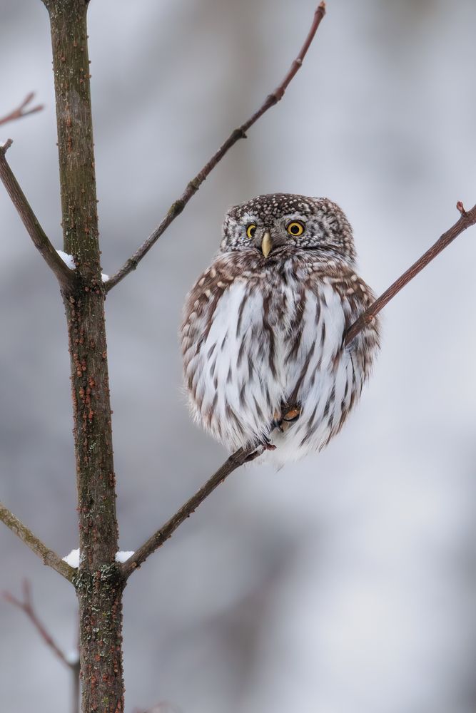 Photograph by Вера Машина