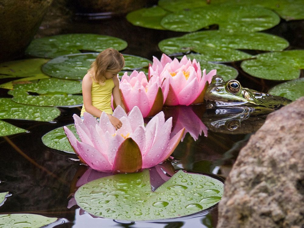 Фотография автора Борис Журавлёв