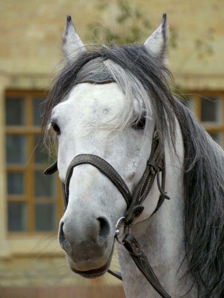 Photograph by Валерия Яскович