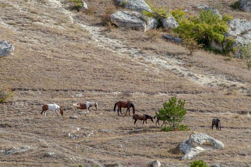 Фотография автора Татьяна Петренко