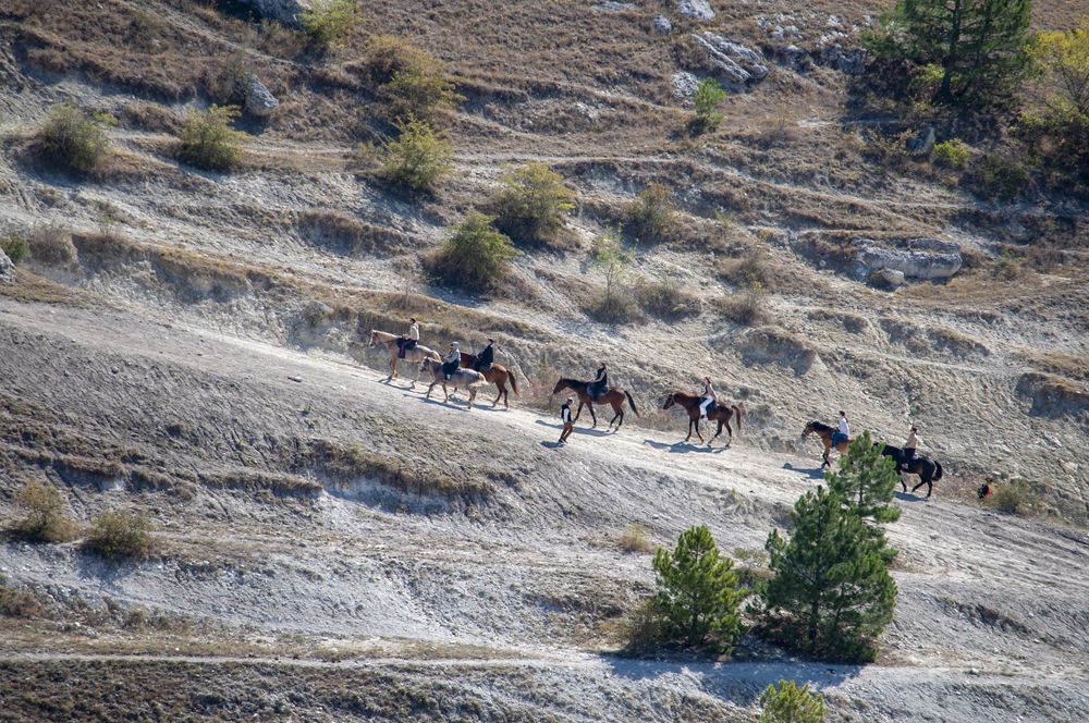 Фотография автора Татьяна Петренко
