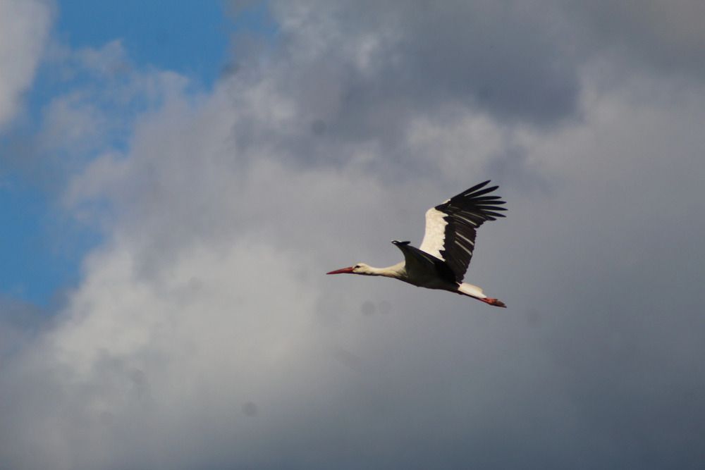 Photograph by Елена Наленч