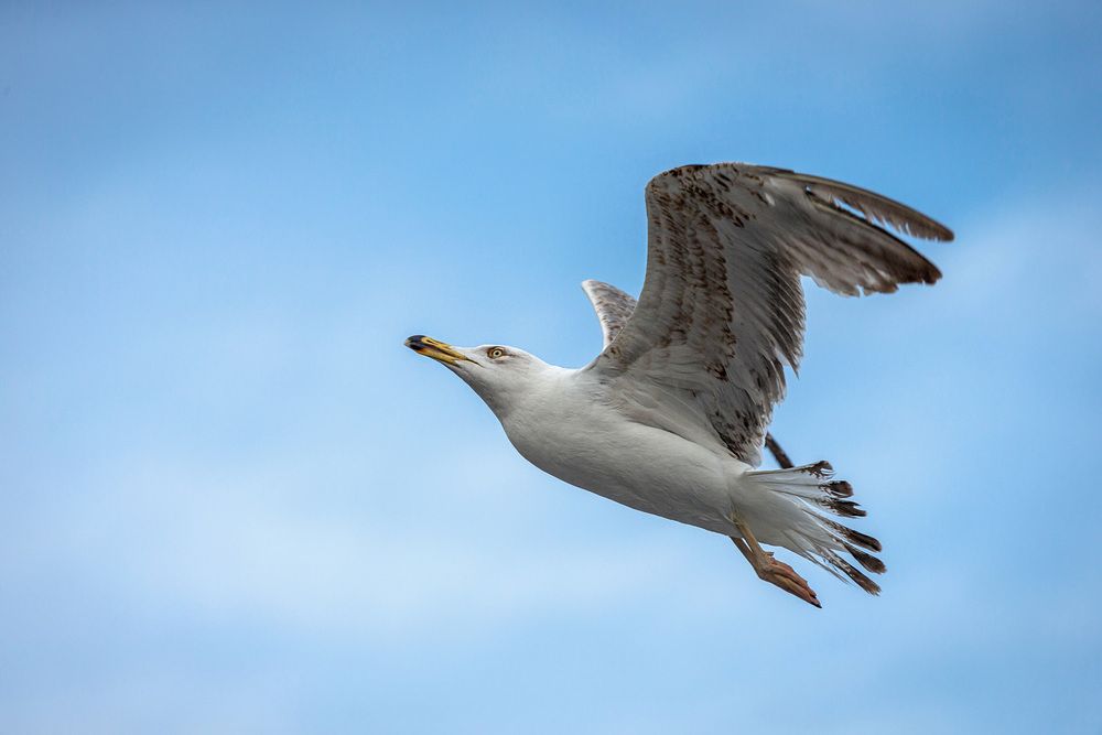 Photograph by Витас Черняускас