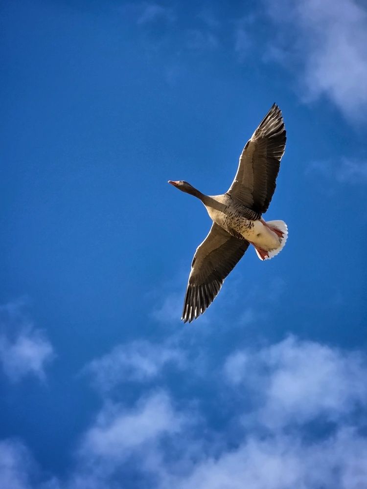 Photograph by Татьяна Соколовская