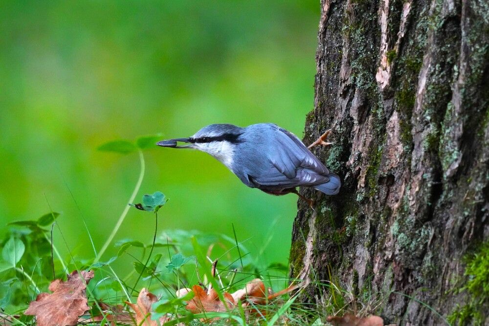 Photograph by Елена Викторовна