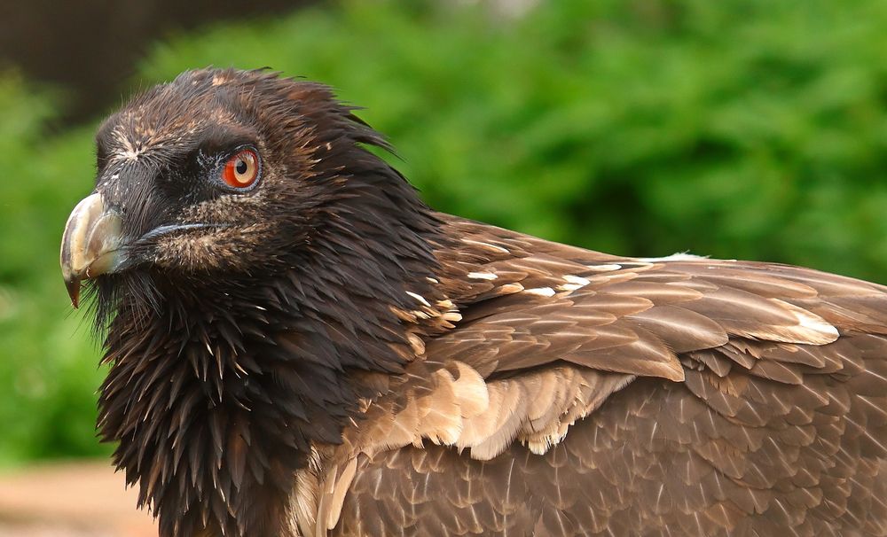 Photograph by Воронина Татьяна