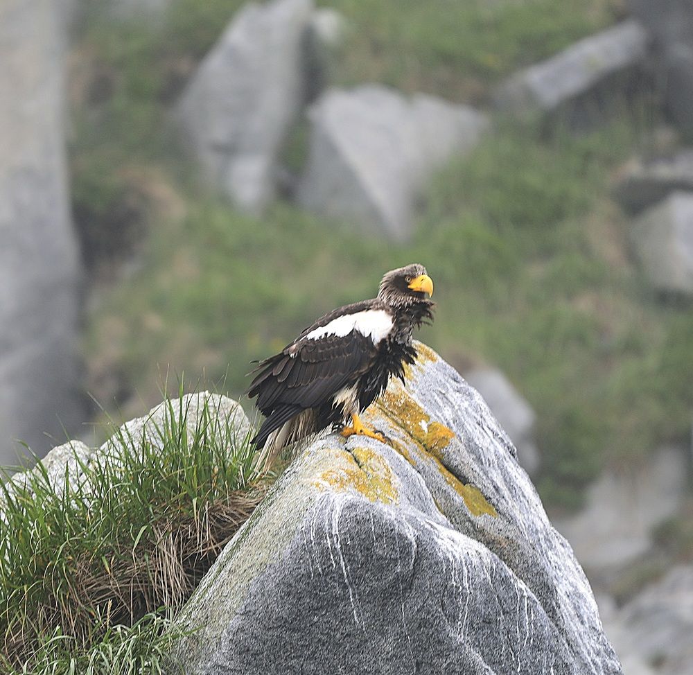 Photograph by Лариса Ким