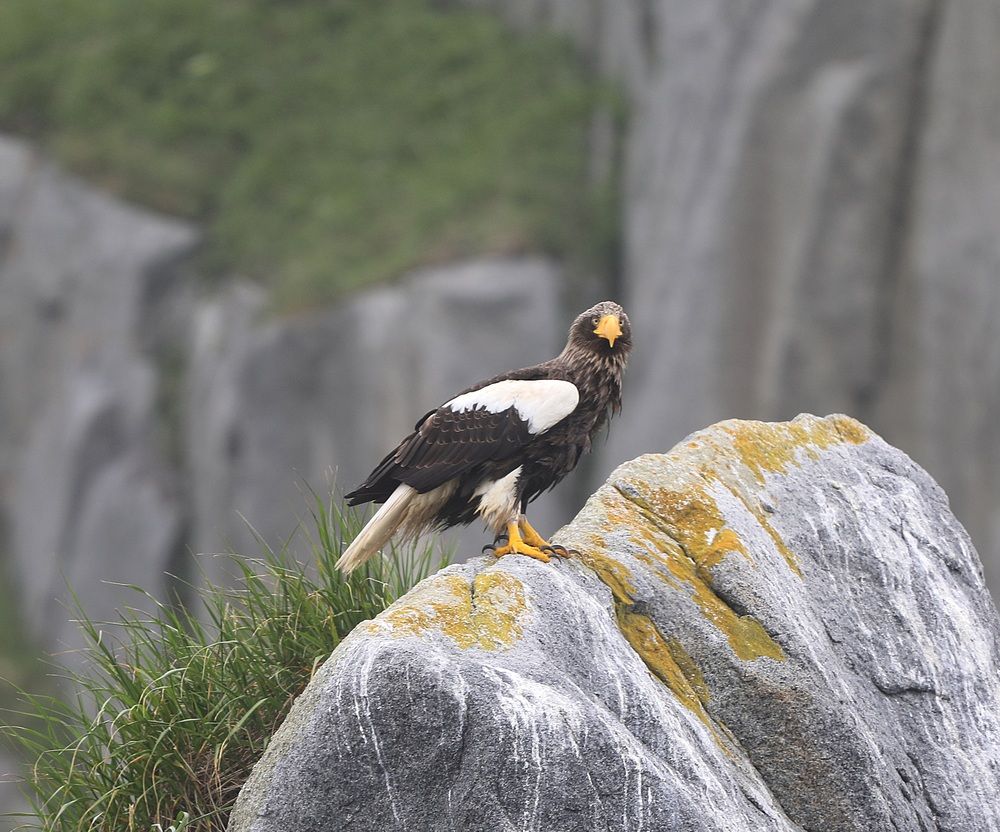 Photograph by Лариса Ким