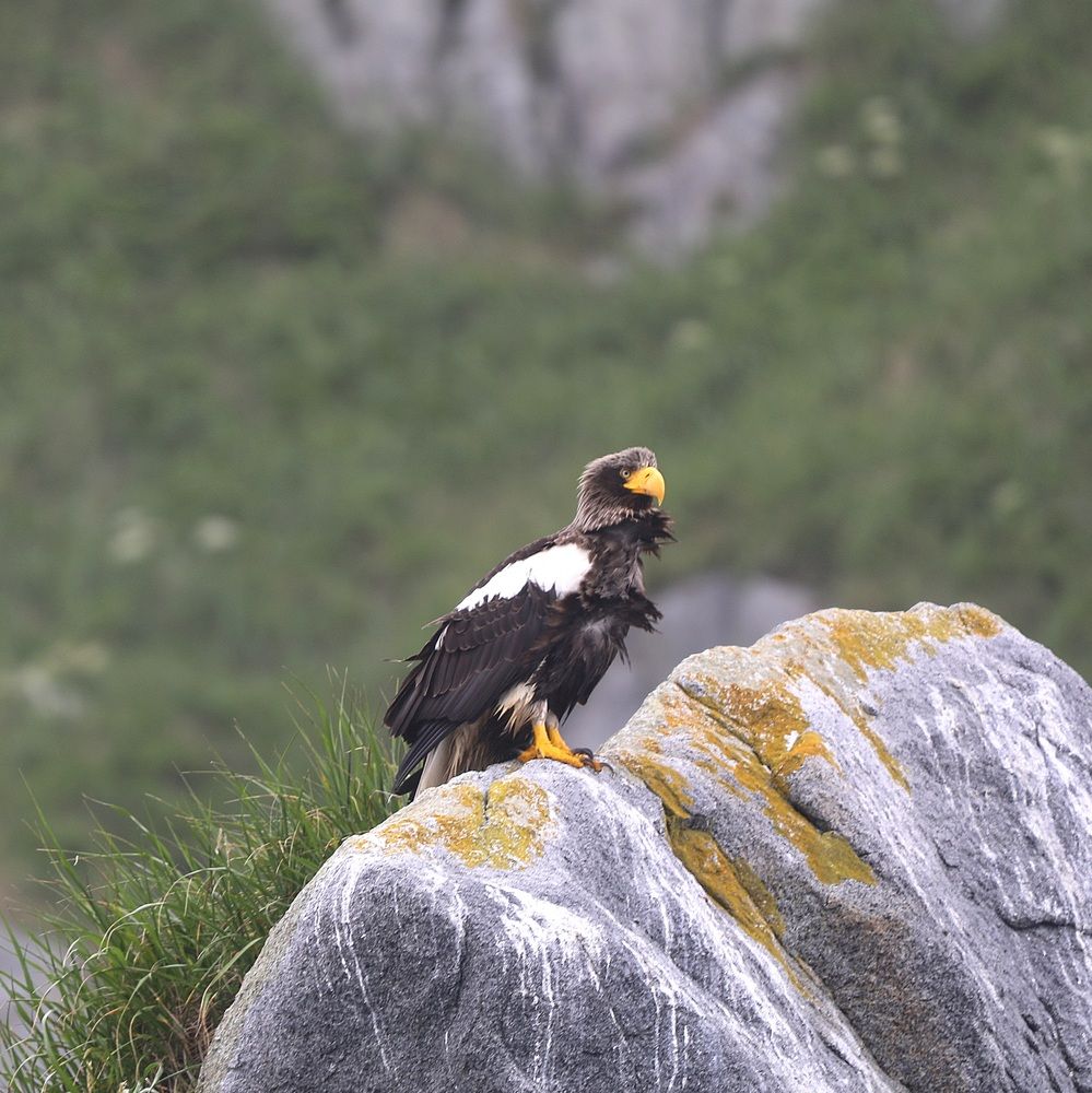 Photograph by Лариса Ким