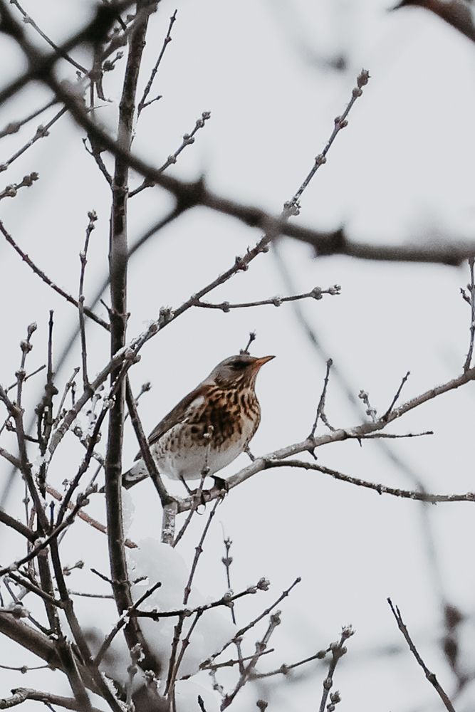 Photograph by Ольга Осинина