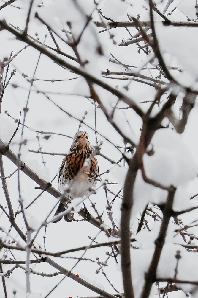 Photograph by Ольга Осинина