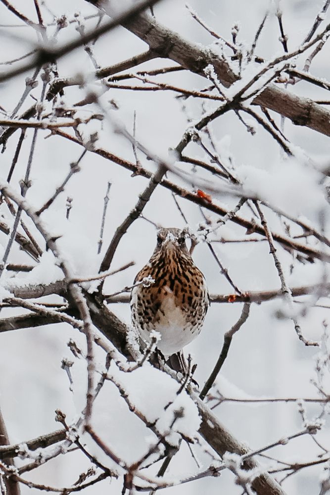 Photograph by Ольга Осинина