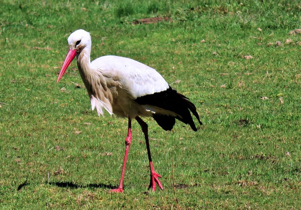 Photograph by Maria Isabel Moreira